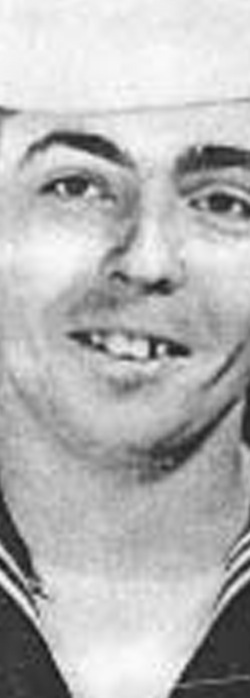 Thomas Pynchon, Detalle